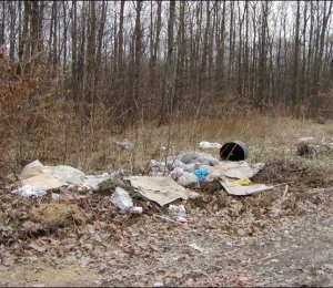 Čo nás trápi- smetisko