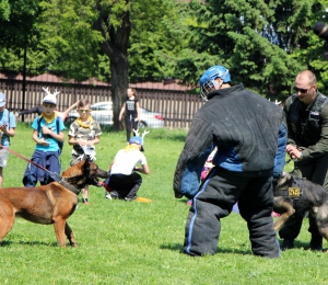 Lesnícky deň 2017