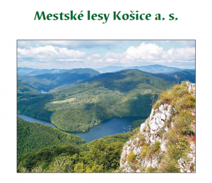 Akcie