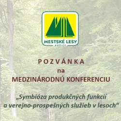 Symbióza produkčných funkcií a verejno-prospešných služieb v lesoch