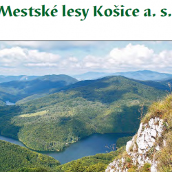 Brožúra