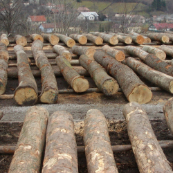 18.03. - 21.03.2025, začiatok o 8:00 hod