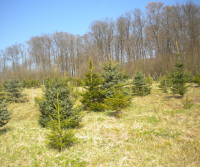 platný od 01.11.2025