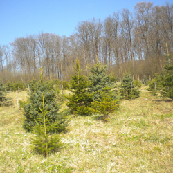 predaj 15.12.2025 - 23.12.2025